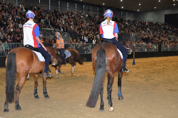 Pferd u Jagd   071.jpg